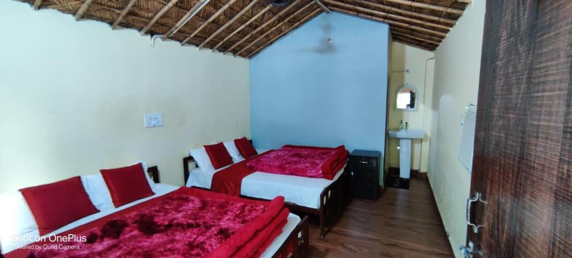 Treepie Resorts Risikés Kültér fotó